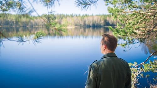 Kesäinen kuva järvenrannalta. Aikuinen on selin kameraan ja katsoo järvelle..